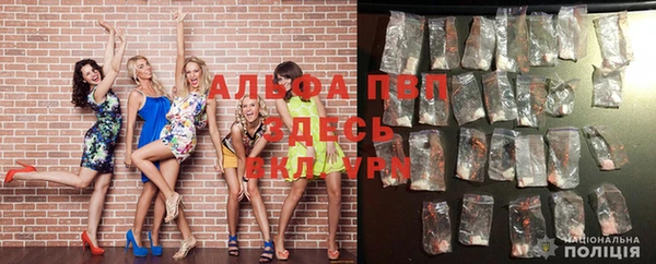 a pvp Белокуриха