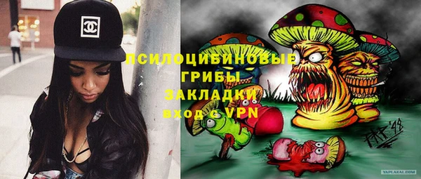 a pvp Белокуриха