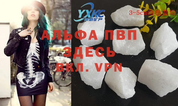 a pvp Белокуриха
