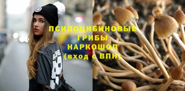 a pvp Белокуриха
