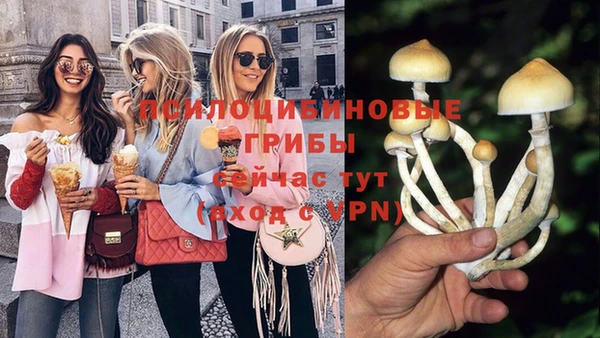 мескалин Богородицк