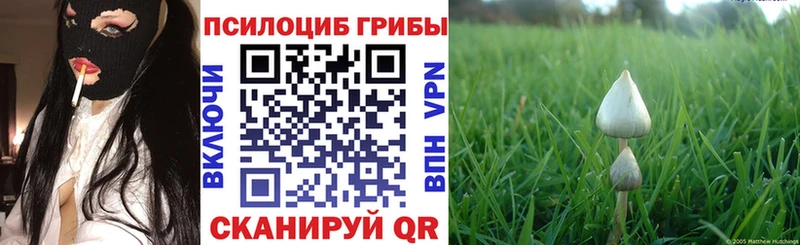 Псилоцибиновые грибы мицелий Буйнакск